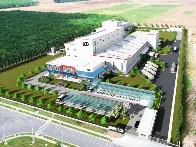 Chocolate Manufacturing Plant Project
